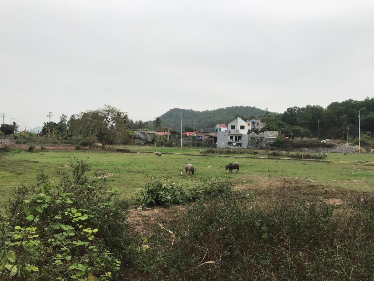 Bee Lucky Homestay Xuan Dam Luaran gambar